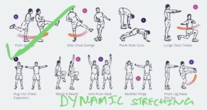 Dynamic Stretch